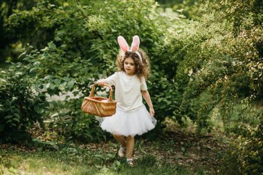 Paskalya yumurtası avı. Bahçede yumurta toplamak için koşan tavşan kulaklı bir kız çocuğu. Paskalya geleneği. Renkli yumurtalarla dolu sepeti olan bebek.