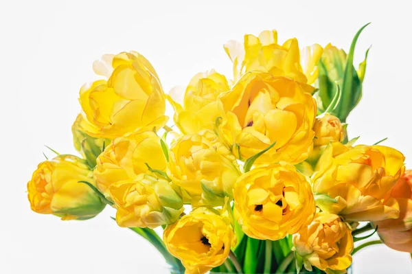 Yellow flowers tulips background. Bouquet of yellow tulips Greeting Card for Mothers Day, Birthday, March 8.