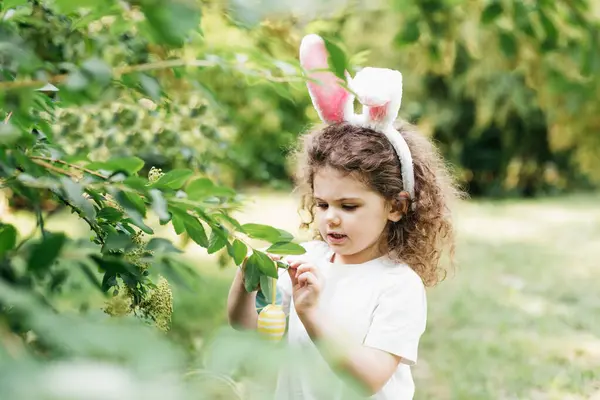 Polowanie Pisanki Dziecko Króliczych Uszach Biegnące Jajka Ogrodzie Wielkanoc Dziecko Obrazek Stockowy