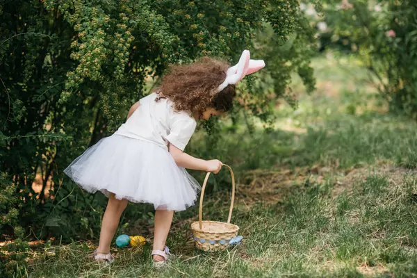 Perburuan Telur Paskah Anak Perempuan Memakai Telinga Kelinci Berjalan Untuk — Stok Foto