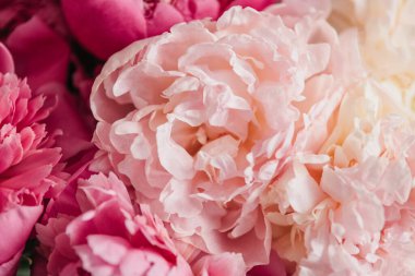 Çiçekli bahar çiçeği çiçekli şakayık çiçekleri festival arka planı, düğün dekoru ve lüks marka tasarımı. Pastel ve yumuşak çiçek kartı. Çiçekçide güzel ve romantik çiçekler.