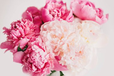 Çiçekli bahar çiçeği çiçekli şakayık çiçekleri festival arka planı, düğün dekoru ve lüks marka tasarımı. Pastel ve yumuşak çiçek kartı. Çiçekçide güzel ve romantik çiçekler.