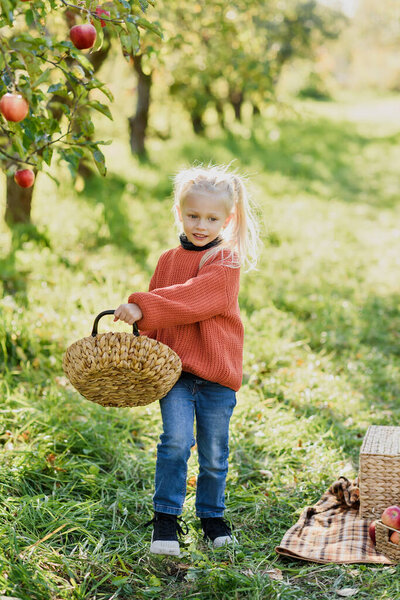 Child Picking Apples Farm Autumn Little Girl Playing Tree Orchard Stock Photo