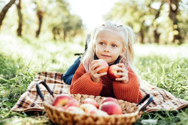 Sonbaharda çiftlikte elma toplayan bir çocuk. Ağaç bahçesinde oynayan küçük kız. Sağlıklı beslenme. Tatlı küçük kız kırmızı lezzetli meyve yiyor. Hasat Konsepti. Elma toplama.