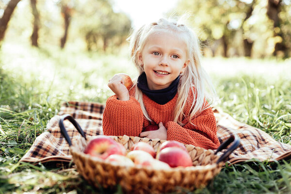 Child Picking Apples Farm Autumn Little Girl Playing Tree Orchard Royalty Free Stock Images