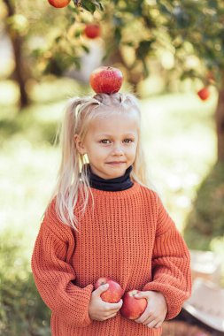 Sonbaharda çiftlikte elma toplayan bir çocuk. Ağaç bahçesinde oynayan küçük kız. Sağlıklı beslenme. Tatlı küçük kız kırmızı lezzetli meyve yiyor. Hasat Konsepti. Elma toplama.