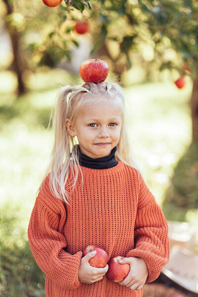 Child Picking Apples Farm Autumn Little Girl Playing Tree Orchard Stock Image