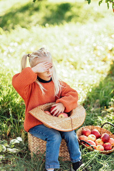 Child Picking Apples Farm Autumn Little Girl Playing Tree Orchard Stock Picture