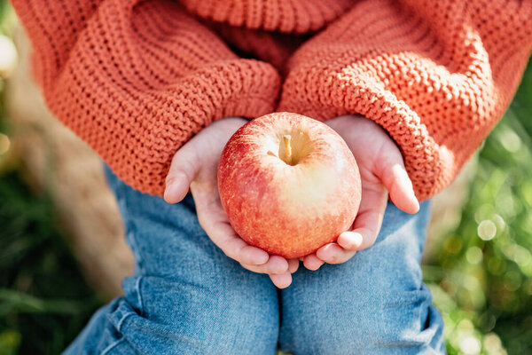 Close Image Child Wearing Cozy Orange Sweater Jeans Holding Fresh Stock Image
