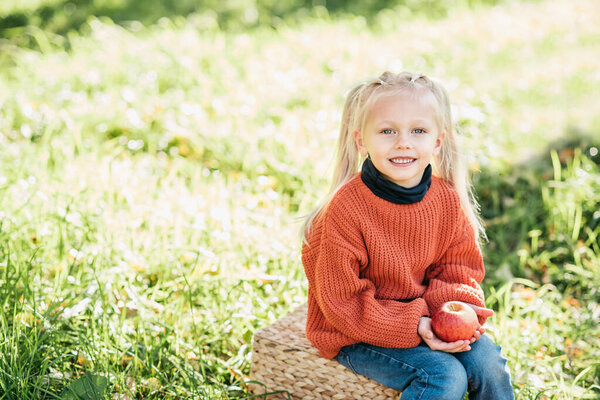 Blonde Girl Orange Sweater Holding Apples While Sitting Orchard Sunny Royalty Free Stock Photos
