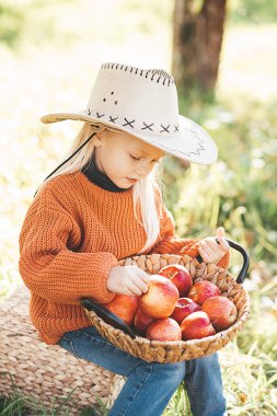 Sonbaharda çiftlikte elma toplayan bir çocuk. Ağaç bahçesinde oynayan küçük kız. Sağlıklı beslenme. Tatlı küçük kız kırmızı lezzetli meyve yiyor. Hasat Konsepti. Elma toplama.