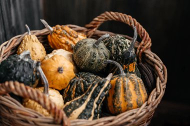 Renkli dekoratif kabaklarla dolu sepette yeşil, sarı ve turuncu renkli renkler mevsimlik bir pazarda sonbahar dekorasyonu için mükemmel.
