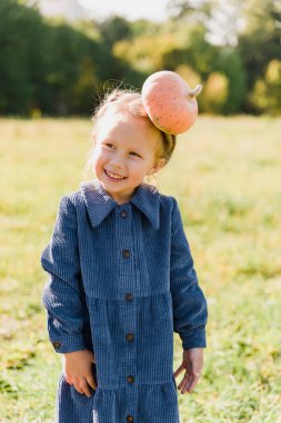 Sonbahar hasadı organik balkabakları ve elmalar. Soğuk sonbahar gününde balkabağı tarlasında küçük mutlu bir kız. Cadılar bayramı için bir sürü balkabağı, Şükran Günü ve kırmızı vagon. Balkabağı tarlasında çocuklar.