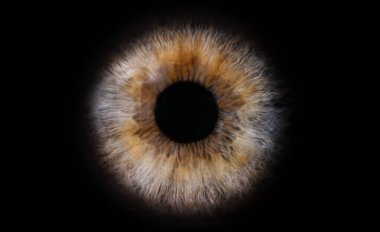 Siyah arka planda insan gözünün makro fotoğrafı. Mavi gözün yakın çekimi