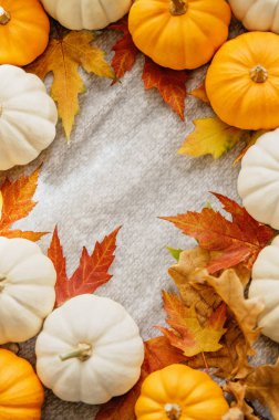 Beyaz ve turuncu balkabaklarından oluşan dairesel bir düzenleme. Sonbahar yapraklarıyla bezenmiş. Sonbahar ya da Şükran Günü için rahat ve mevsimlik bir dekor..