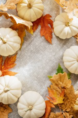 Beyaz ve turuncu balkabaklarından oluşan dairesel bir düzenleme. Sonbahar yapraklarıyla bezenmiş. Sonbahar ya da Şükran Günü için rahat ve mevsimlik bir dekor..