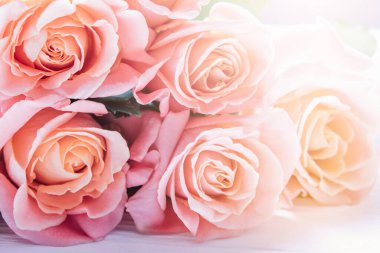 Mutlu anneler günü, romantik natürmort günü, kadınlar günü, tebrik kartı. İyi ki doğdun Yumuşak, rüya gibi ışıkta pembe güller. Güzelliği, aşkı, zarafeti çağrıştırıyor. Pastel tonlar ve bulanık arkaplan