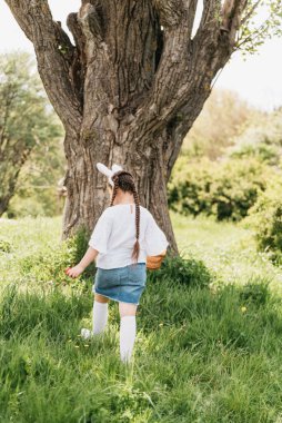 Paskalya yumurtası avı. Bahçede yumurta toplamak için koşan tavşan kulaklı bir kız çocuğu. Paskalya geleneği. Sepeti renkli yumurtalarla dolu bir bebek. Tavşan sepette.