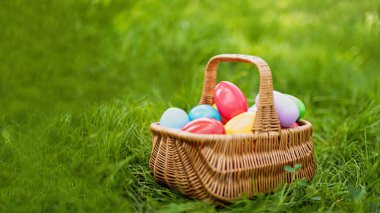 Yeşil çimlerin üzerinde renkli paskalya yumurtaları. Paskalya arkaplanı. Yumurta avı.