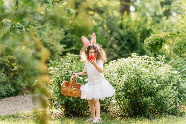 Paskalya yumurtası avı. Bahçede yumurta toplamak için koşan tavşan kulaklı bir kız çocuğu. Paskalya geleneği. Renkli yumurtalarla dolu sepeti olan bebek.