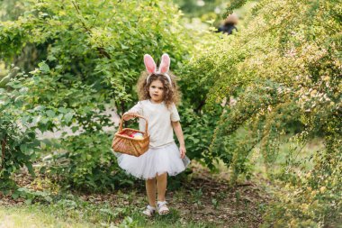 Paskalya yumurtası avı. Bahçede yumurta toplamak için koşan tavşan kulaklı bir kız çocuğu. Paskalya geleneği. Renkli yumurtalarla dolu sepeti olan bebek.