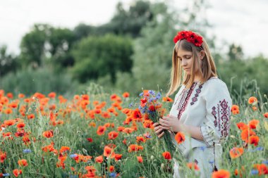 Ukrayna Anayasa Günü. 24 Ağustos. Vatansever bayram. Açık hava portresi. Geleneksel nakış işindeki kız tarlada haşhaş topluyor. Çiçekli Gelincikler bellek simgesi.