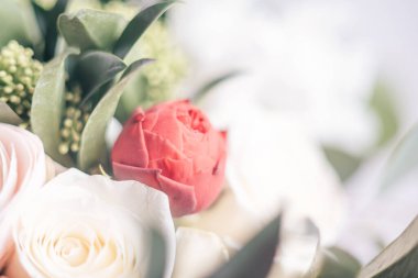 Kadınlar Günü tebrik kartı. Beyaz, pembe ve kırmızı ranunculus çiçekleri içeren narin bir buket, yemyeşil aksanlı, yumuşak ve romantik bir çiçek aranjmanı yaratıyor..