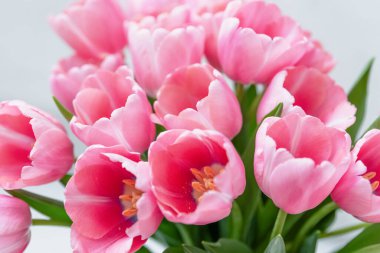 Anneler günü, sevgililer günü, doğum günü kutlaması konsepti. Tebrik kartı. Güzel pembe ince laleler buketi. Metin için boşluk kopyala, üst görünüm. Bahar arka planı. 8 Mart, Uluslararası Kadınlar Günü