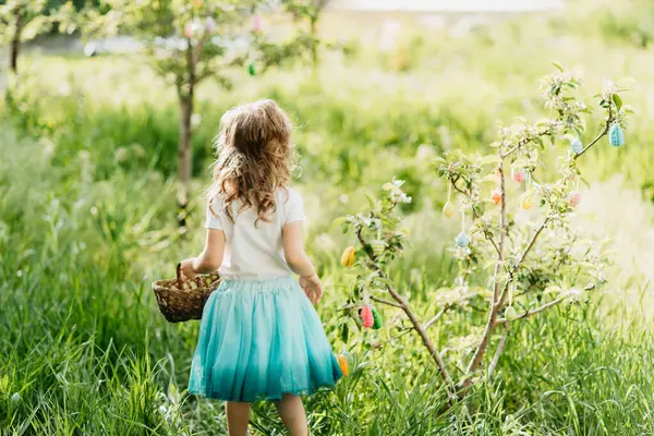 Paskalya yumurtası avı. Bahçede yumurta toplamak için koşan tavşan kulaklı bir kız çocuğu. Paskalya geleneği. Renkli yumurtalarla dolu sepeti olan bebek.