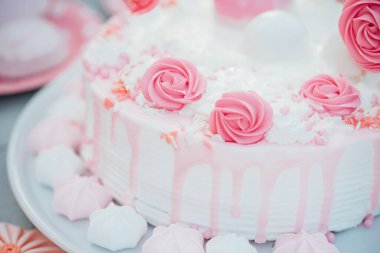 Parti dekorasyonu doğum günü ya da düğün pastası. pembe ve menekşe renkleri şekerli çikolata küresi. Kutlama süslemeleri için doğum günü için şölen masası.