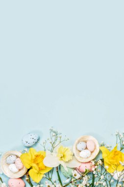 Paskalya yumurtaları, dekoratif yuvaları, ve mavi arka planda mavi tüyler, bayramlık bahar tasarımlı tebrik kartı konsepti