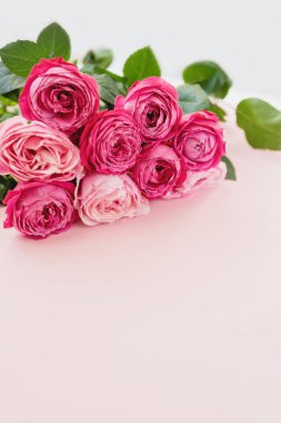 Mutlu anneler günü, romantik natürmort günü, kadınlar günü, tebrik kartı. İyi ki doğdun Yumuşak, rüya gibi ışıkta pembe güller. Güzelliği, aşkı, zarafeti çağrıştırıyor. Pastel tonlar ve bulanık arkaplan