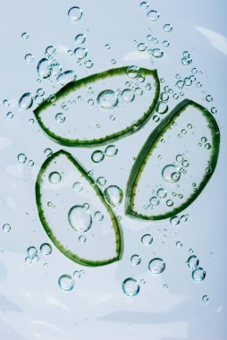 Hava kabarcıklarıyla çevrili temiz suda yüzen üç aloe vera dilimi tazeliği, susuzluğu ve doğal cilt bakımını temsil ediyor.