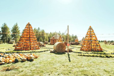 Autumn Harvest Pumpkin Arrangement at Outdoor Event. Large pyramid structure filled with orange pumpkins on wooden shelves at autumn harvest festival outdoors