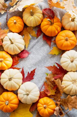 Beyaz ve turuncu balkabaklarından oluşan dairesel bir düzenleme. Sonbahar yapraklarıyla bezenmiş. Sonbahar ya da Şükran Günü için rahat ve mevsimlik bir dekor..