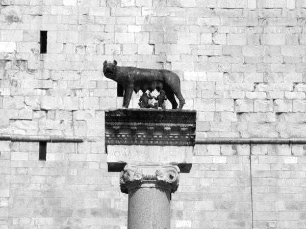 サンタ マリア アスンタ大聖堂の鐘楼の詳細と市の創設者のローマのシンボル — ストック写真