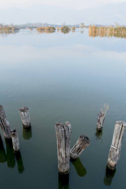 Iseo Gölü 'ndeki turba bataklıklarının (Brescia) sonbahar manzarası)