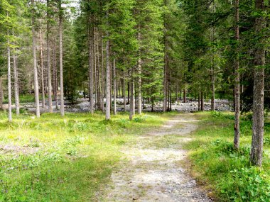 Bagolino, Brescia, İtalya 'da Valsabbia' nın yukarısında tipik bir dağ manzarası.