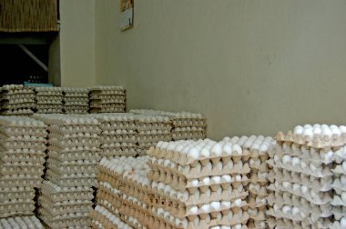 Tunus, Tunus, Afrika şehir merkezinde sokağa bakan yumurta satan tipik bir depo dükkânı.