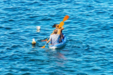 LA SPEZIA, İtalya - 28 Temmuz 2022: Güneşli bir yaz gününde, mavi Akdeniz 'de kürek çeken iki kişi ve bir siyah köpek. La Spezia Körfezi, Liguria, İtalya, Avrupa.