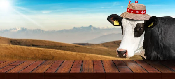 Close Uma Mesa Madeira Vazia Uma Vaca Leiteira Suíça Branca — Fotografia de Stock