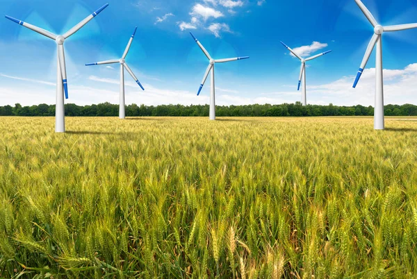 Skupina Větrných Turbín Pohybu Krajině Pole Zelené Pšenice Modrá Obloha — Stock fotografie