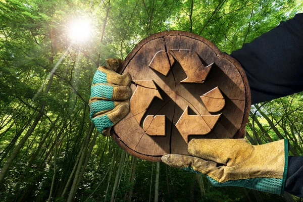 Egy Fatörzs Keresztmetszetét Tartó Kesztyű Újrahasznosító Szimbólummal Háttérben Zöld Erdővel — Stock Fotó