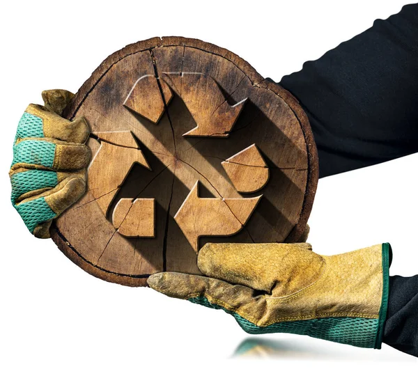 Ręce Rękawiczki Trzymające Przekrój Pnia Drzewa Drewnianym Symbolem Recyklingu Odizolowane — Zdjęcie stockowe