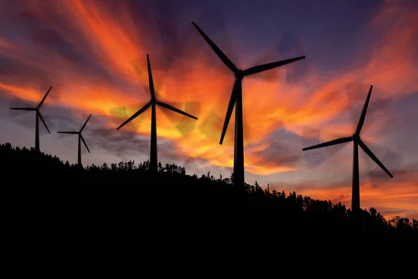 Silhuetas Grupo Turbinas Eólicas Uma Floresta Pinheiros Montanha Contra Céu — Fotografia de Stock