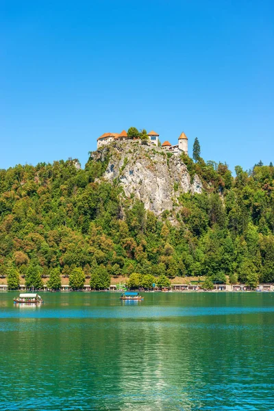 Lake Bled with the medieval Bled Castle (Blejski grad), XI century, on a sunny summer day. Bled town, Gorenjska, Triglav National Park, Slovenia, central Europe.