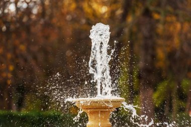 Close-up of a jet of water and splashes of a fountain in Buen Retiro Park (Parque del Buen Retiro), public park, Community of Madrid, Spain, southern Europe.