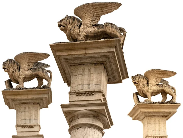 Mramorová Socha Okřídleného Lva Svatého Marka Leone San Marco Izolovaná — Stock fotografie
