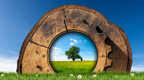 Egy Fatörzs Fából Készült Fogaskerékkel Egy Zöld Réten Százszorszép Virággal — Stock Fotó