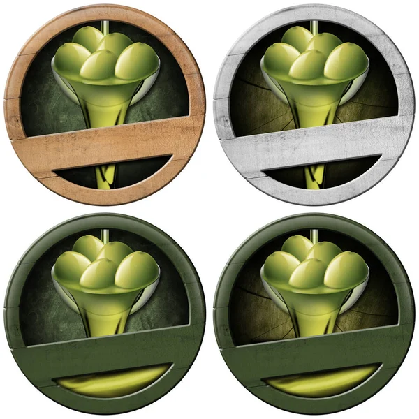 Kolekcja Czterech Drewnianych Okrągłych Znaków Zielonymi Oliwkami Oliwą Oliwek Przestrzenią — Zdjęcie stockowe